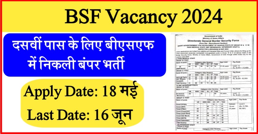 BSF Vacancy 2024