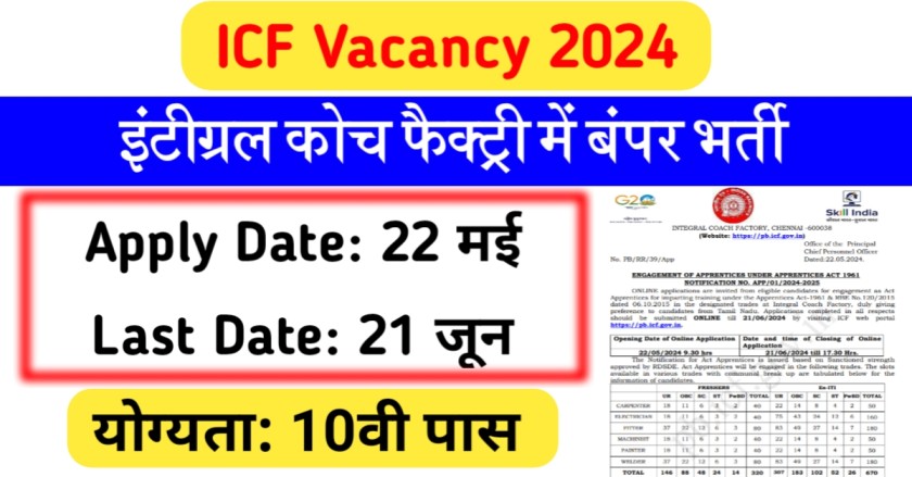 ICF Vacancy 2024